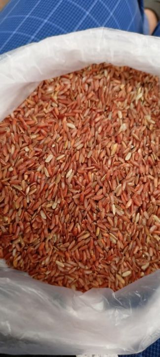 Binni Bashmoti Rice (Full Fiber)