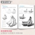 Sketching Book Basic Sketching Tutorial Drawing Book Geometry Plaster Still Life Figure Avatar Zero Based Sketching Textbook.