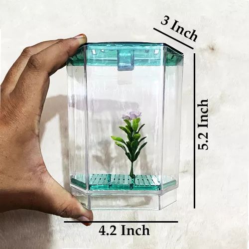 Betta%20House%20(Single%20House%20With%20Light)%20For%20Fish%20-%20Image%206