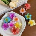 6Pcs Gradient Hair Clips New Flower Hair Claws Small Size Fashion Headwear Hairpin Crab Barrette Hair Accessories for Women. 