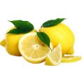 Lemon Plants Dehi Pala දෙහි පැල. 