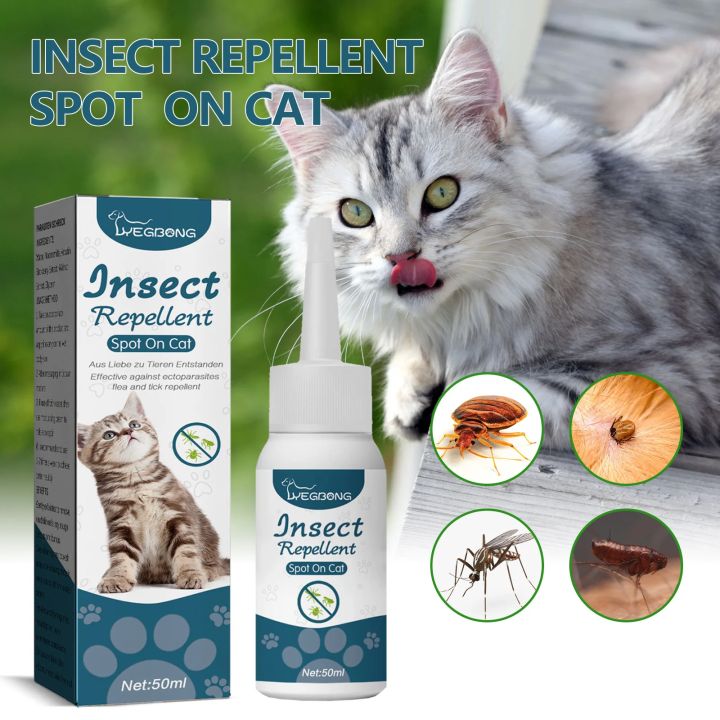 Flea Remedies For Cats | Natural & Easy DIY Flea Treatments