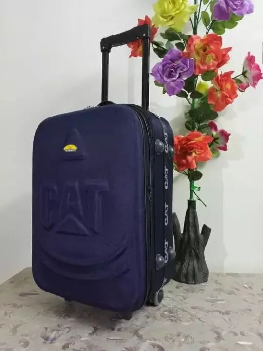 Trolley bag 20 Inch 8 Wheels Softside Spinner Luggage