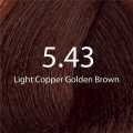 Eazicolor 5.43 Light Copper Golden Brown Eazicolor Professional Permanent Hair Colour With Developer. 