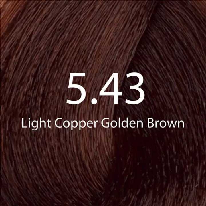 Eazicolor%205.43%20Light%20Copper%20Golden%20Brown%20Eazicolor%20Professional%20Permanent%20Hair%20Colour%20With%20Developer%20-%20Image%203