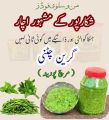 Green Chattni Chilli Mint. 