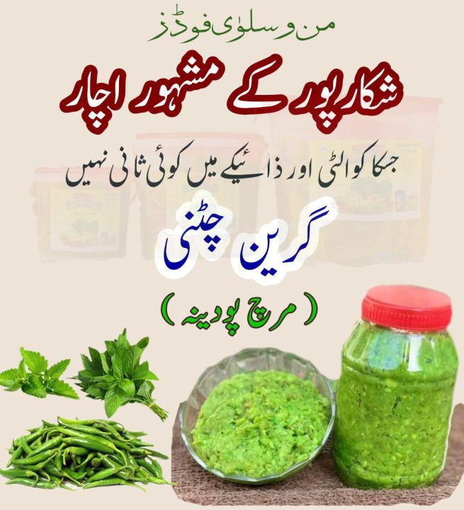 Green%20Chattni%20Chilli%20Mint%20-%20Image%205
