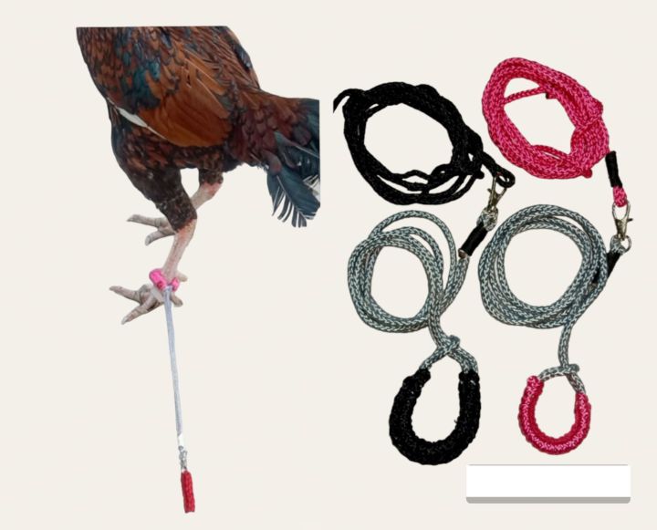 Roster Rope/ Hen Rope