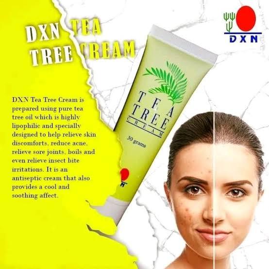 DXN%20TEA%20TREE%20CREM%20-%20Image%203