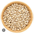 Jawar | Sorghum | Jowar Seeds
| 500 grams of Jawar | 
Sorghum Seeds | Organic Jowar Seeds | Organic Sorghum Seeds | Jowar Seeds | Heirloom Sorghum Seeds
| Non-GMO Jowar Seeds
| non-GMO Sorghum Seeds
|
Jowar Seed Packets |
Sorghum Seed Packets | جوار. 