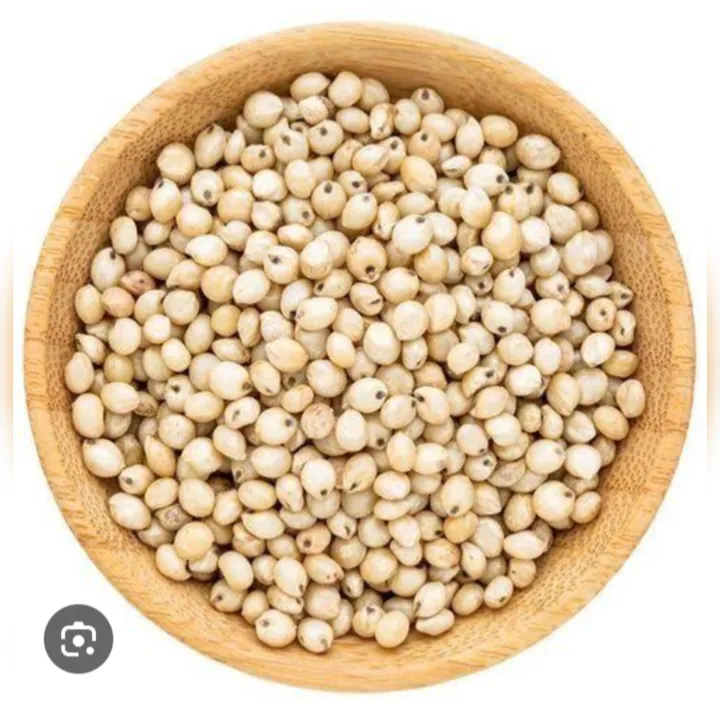 Jawar%20%7C%20Sorghum%20%7C%20Jowar%20Seeds%0A%7C%20500%20grams%20of%20Jawar%20%7C%20%0ASorghum%20Seeds%20%7C%20Organic%20Jowar%20Seeds%20%7C%20Organic%20Sorghum%20Seeds%20%7C%20Jowar%20Seeds%20%7C%20Heirloom%20Sorghum%20Seeds%0A%7C%20Non-GMO%20Jowar%20Seeds%0A%7C%20Birds%20food%0A%7C%0AJowar%20Seed%20Packets%20%7C%0ASorghum%20Seed%20Packets%20%7C%20%D8%AC%D9%88%D8%A7%D8%B1%20-%20Image%203