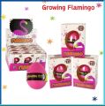 Growing Flamingo 🦩 1 PCS. 
