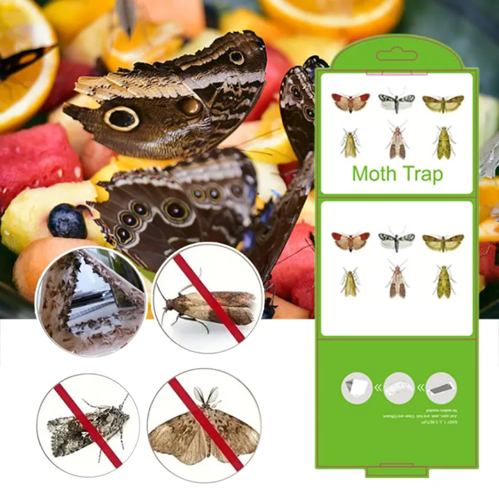 5Pcs%20Moth%20Pheromone%20Traps%20with%20Pheromones%20Prime%20Adhesive%20Pantry%20Moth%20Traps%20Clothing%20Moth%20Pheromone%20Traps%20for%20Food%20and%20Cupboard%20-%20Image%206