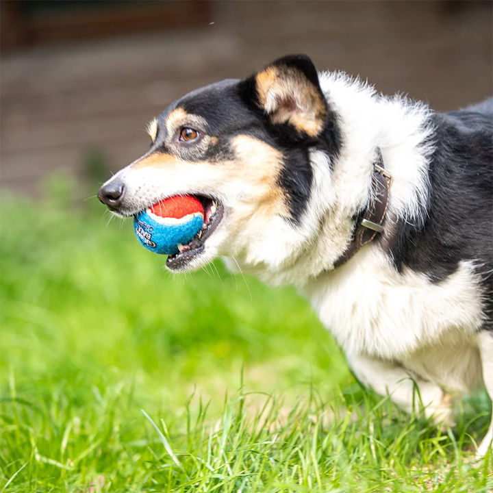 Pet%20Dog%20Squeaky%20Tennis%20Ball%20Interactive%20Dog%20Toys%20High%20Bounce%20Sound%20Rubber%20Ball%20%20for%20Small%20Medium%20Dogs%20Training%20Outdoor%20Play%20Ball%20-%20Image%206
