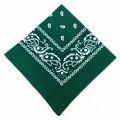 Fashion Hip Hop Bandana Square Scarf Cowboy Cashew Black Red Paisley Headband Print For Women/Men/Boys/Girls.