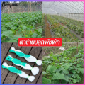2*100m vegetable netting, vegetable trellis netting, nylon mesh netting, melon netting, cucumber planting netting. 