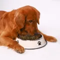 1PC Stainless Steel Pet Bowl Cat Bowl Dog Food Bowl Multi-Specification Anti-fall Food Bowl Food Bowl Feeding Pet Supplies. 