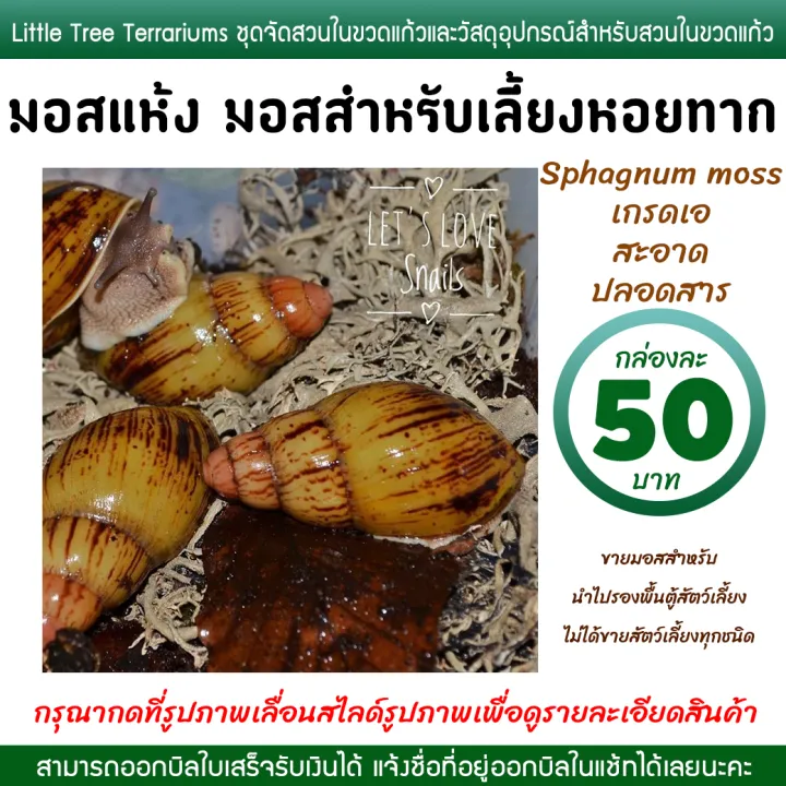 Snail%20Farming%20Moss,%20Dried%20Moss,%20Sphagnum%20Moss,%2050%20Baht%20Per%20Box.%20-%20Image%204