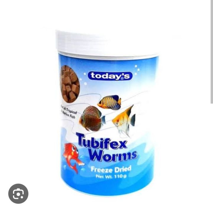 Today Freeze Dried Tubifex Worms 5g