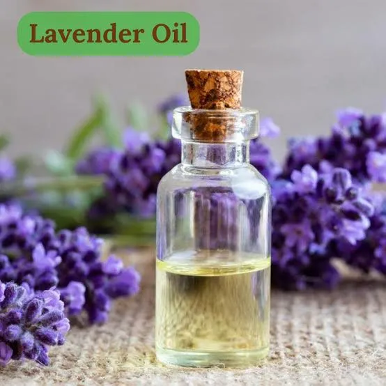 Lavender%20Essential%20Oil%20at%20(%2025%20ml%20)%20/%20Lavender%20Oil%20in%20Varanasi%20...%20-%20Image%203