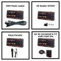 220V 12V 300W Digital Bluetooth Amplifier Board Subwoofer Dual Microphone Karaoke Amp Speaker Home Theater DIY Rechargable Version 300W. 
