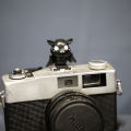 Demon Hot Shoe Protection Cover SLR Camera Hot Shoe Cap Dustproof Cute Cartoon Photography.
