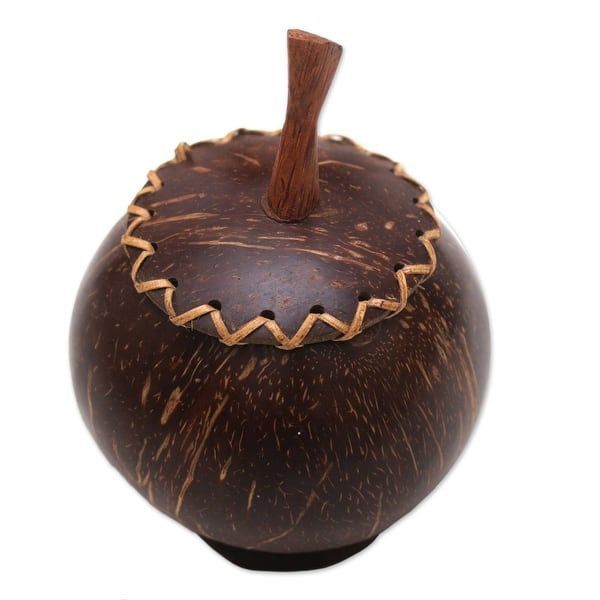 Handmade Berry Keeper Coconut Shell Decorative Box Room decoring