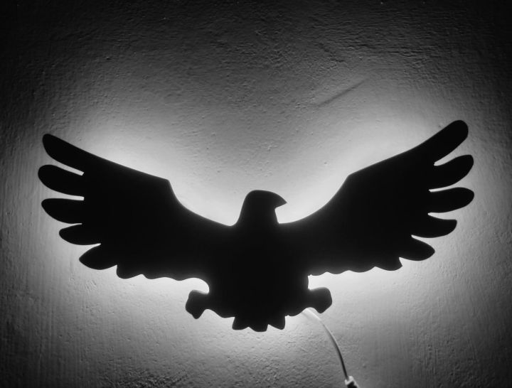 Wall%20decor%20Eagle%20sign%20with%20lighting%20,%20eagle%20light%20,%20wooden%20eagle%20,%20lighting%20eagle%20,%20eagle%20gift%20,%20hunter%20eagle%20with%20lighting%20,%20night%20lamp%20,%20wall%20decoration%20items%20,%20wall%20light%20-%20Image%202