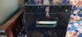 Box of Eggs Incubator Only Box with jali wali hatching tray (70eggs). 