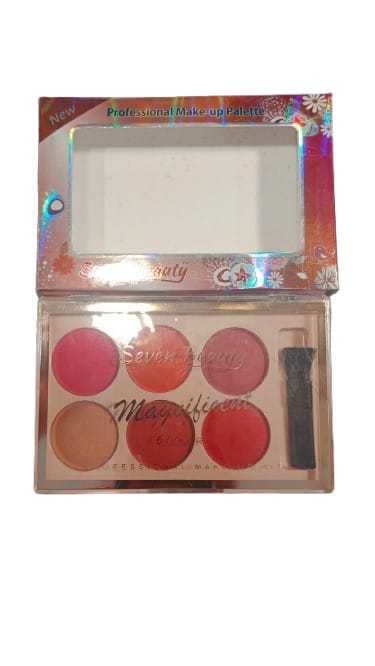 6in1 shade blusher kit for girls for every functions