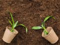 Cocopeat Natural fertilizer for germination and gardening use 500gm.