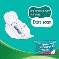Whisper Maxi Fit Sanitary Pads (L+ Wings) 15 Pads. 