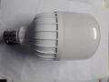 Click Back up Led Light 20 watt AC/DC.