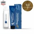 Eazicolor 9.3 Very Light Golden Blonde Eazicolor Professional Permanent Hair Colour With Developer. 