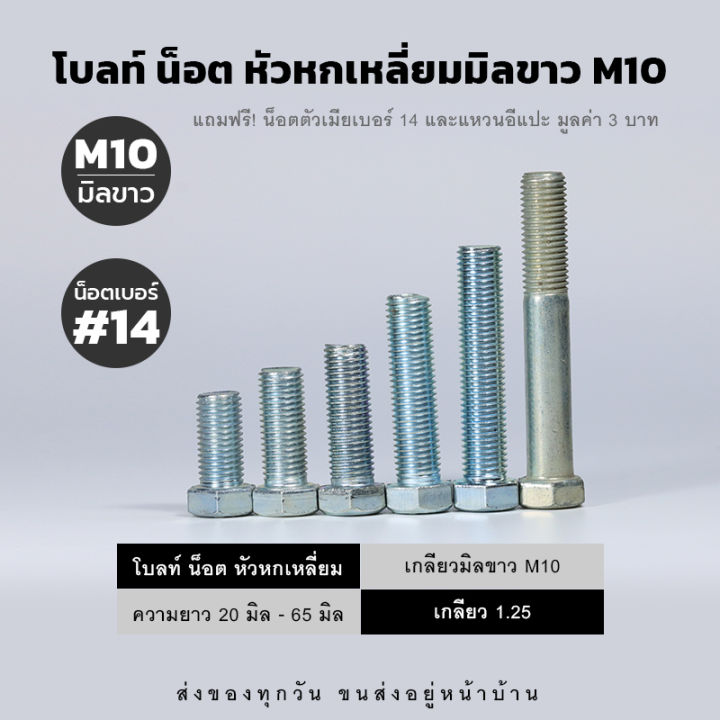 Bolt, screw, hex nut, MM thread, M10 nut, No. 14 thread, 1.25-white plated | free buckle, all set of fixing nuts