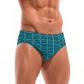 Crocodile Print Swim Trunks Slim Fit Durable Drawstring Man's Triangle Trunks Beach Carnivals Swimming Bathing Trendy Swimsuit. 