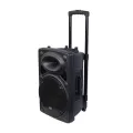 OLiK  Rechargeable Professional Speaker Party box NSC 212 with a massive 12 inch Speakers inside with good bass – PA System with 2 Wireless Microphones, Remote Control, and Charging Cable – Portable Audio for Events & Parties - Karaoke Supported. 