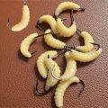 Maggots Fishing Bait Set with Hooks - Versatile Grub Lures for Bass,Trout,Crappie,Bluegill,Ideal for Freshwater Fishing.