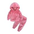 Kids Baby Boy Girl Velvet Tracksuit Clothes Toddler Velour Hoodie Sweatshirt Tops+Sweatpants Children Athletic Sweatsuit Outfits. 