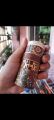 Japanese Gold Foil Washi Tape 5pc/set Adhesive multicolor. 