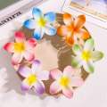 Viral Flower Catcher Buydontbye Hairclaw Korean Fashion For Girls & Women Hair Accessories. 