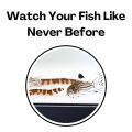 Multifunctional Aquarium Underground Tunnel Cave Under Gravel Tunnel Curve Aquarium Decoration Tunnel Caves Fish Tank Decoration.