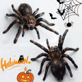 2 Pieces of Simulated Spider Models | Decorative Ornaments | Teaching Props | Birthday Anniversary Party Holiday  | Halloween, , Hanukkah, Easter, Day of the Dead, Winter  | Holiday Atmosphere Decorations. 