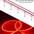 12V Flexible Neon Lights Strip for Room Decoration _ Without Adapter_1, 3, 5 & 10 meters_ NEON Rope Light waterproof/LED Neon Lights decoration without adapter. 