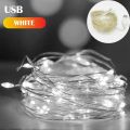 5M/10M USB Fairy Light New Year LED Christmas Light Waterproof Copper Wire String Light for Wedding Garland Party Curtain Light. 