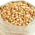 Soya Beans 500g. 