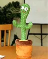 Dancing cactus toy. 