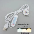 Warm White Color DC 5V 3W USB LED Lights 2835 Chip Single Dimmer Reading Night Desk Book Tablet Reading Lamp Switch Power Cable. 