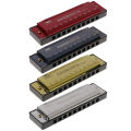 Harmonica Key of C 10 Hole Diatonic Harmonica C with Case for Beginner Students Kids Gift with Case. 