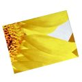 Bed Sheet King Size/ Double Bedsheet/ King Size 3D Crystal Cotton Satin 3 PCS. 